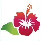 Viet Uc Care